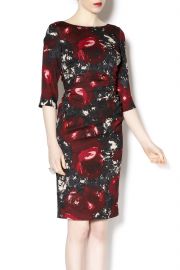 WornOnTV: Amy’s abstract rose patterned dress on Veep | Anna Chlumsky ...